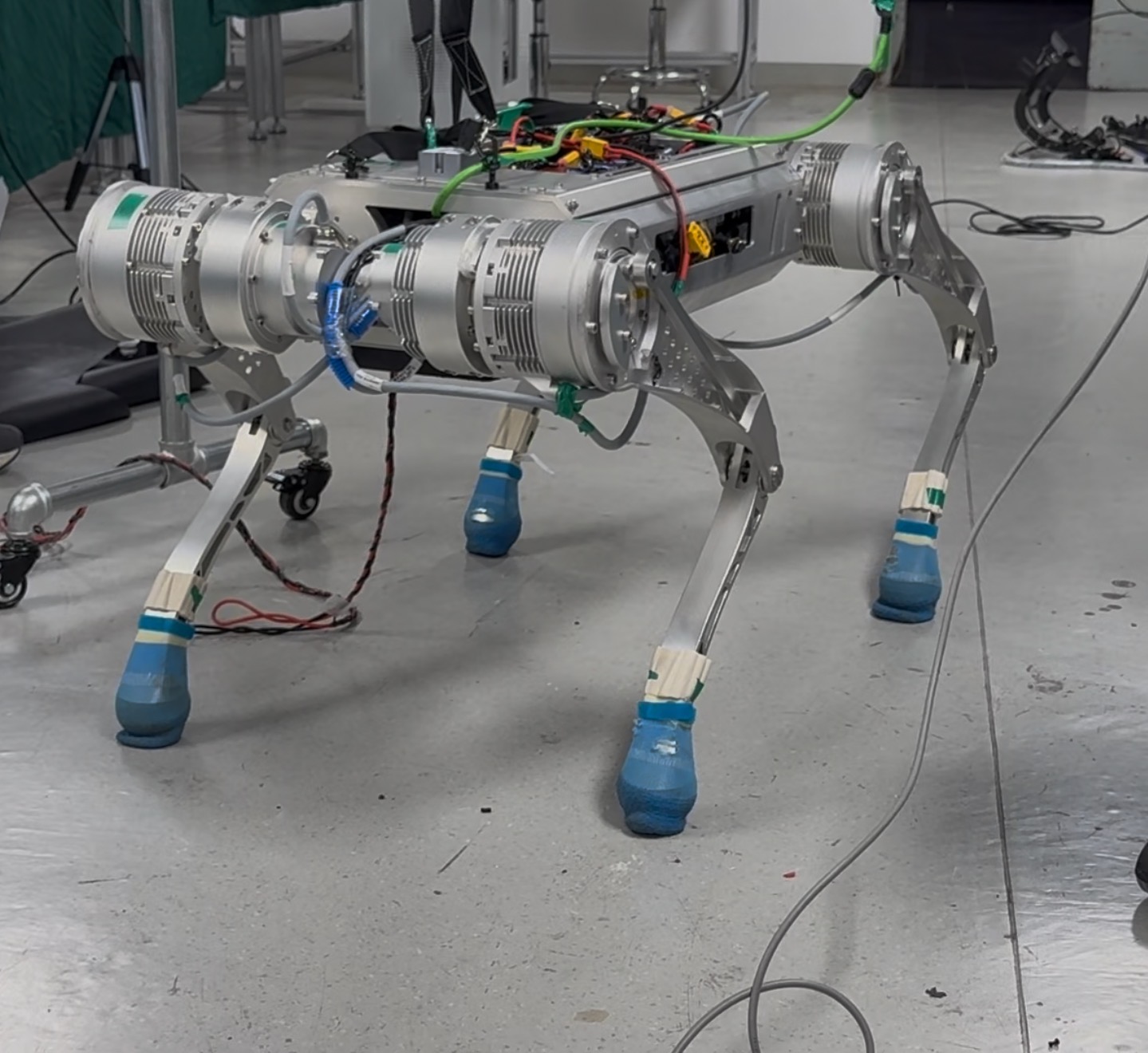 55 kg quadruped standing in a laboratory